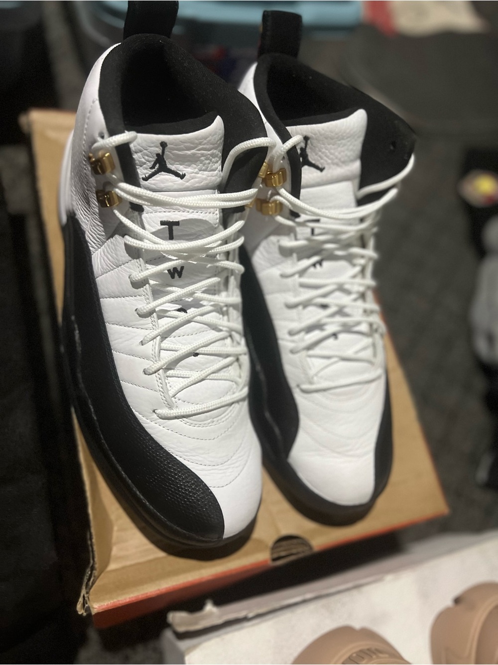 Sz 12 taxis Nike Air Jordan 12 Retro Men’s Shoes - White/Black
